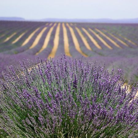 Un Coin De Luberon Apartment ลีล-ซูร์-ลา-ซอร์ก ภายนอก รูปภาพ